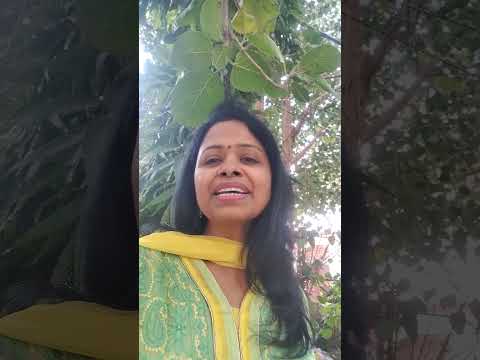 Financial Planning Tips