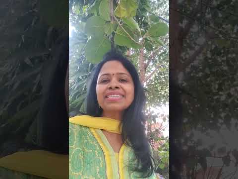 Investment Strategies